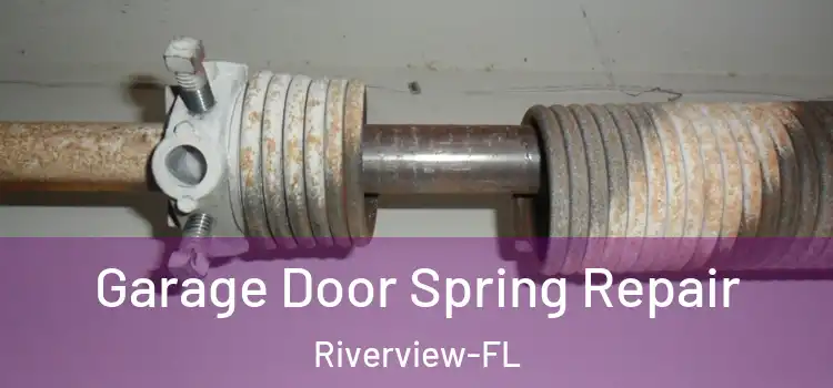 Garage Door Spring Repair Riverview-FL